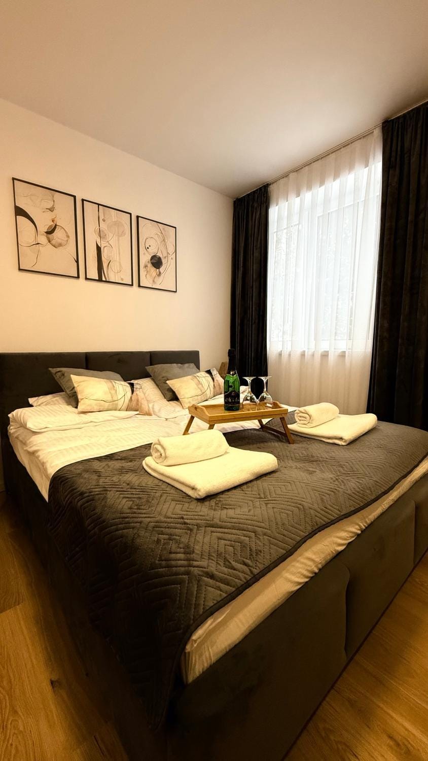 MICKIEWICZ HOUSE Apartamenty Apartment in Lesser Poland Voivodeship
