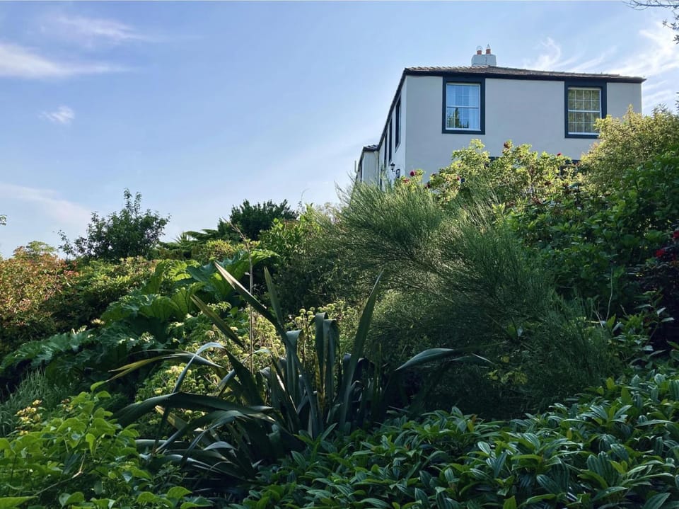 Garden view