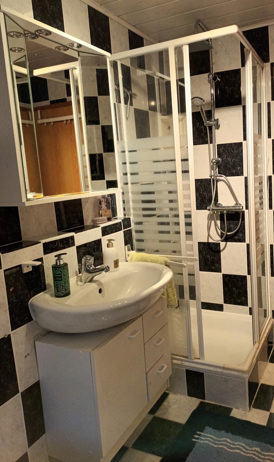 Shower, Bathroom