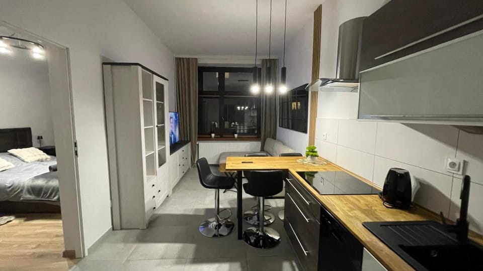 Apartament City Break 1, promenada przy jeziorze Apartment in Poland