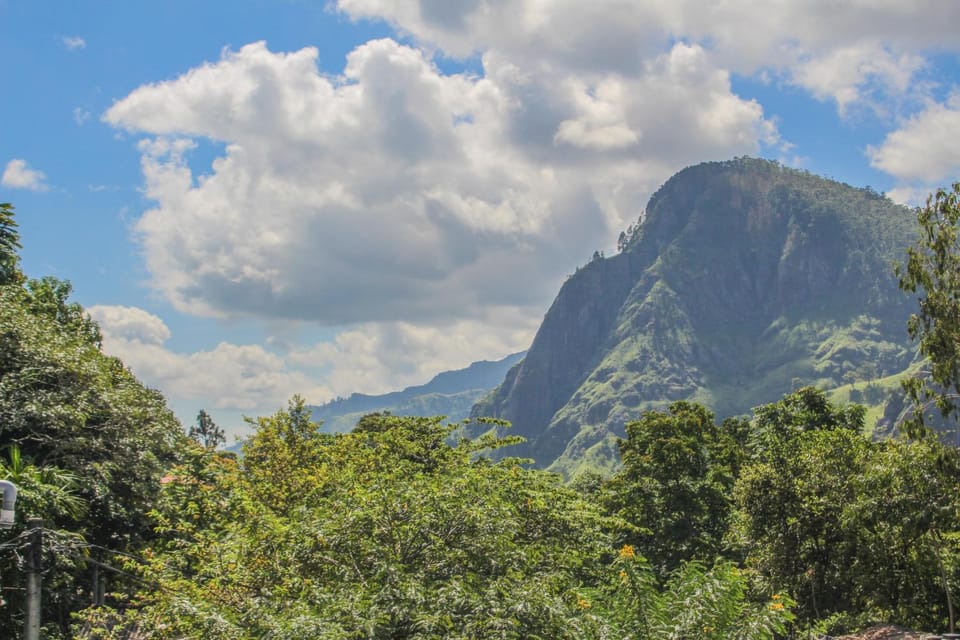 Mountain view