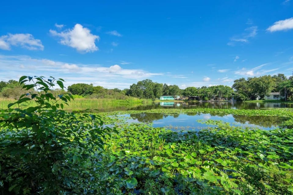 Peaceful Lake View Retreat Near Parks 10 Minutes to Downtown House in Orlando