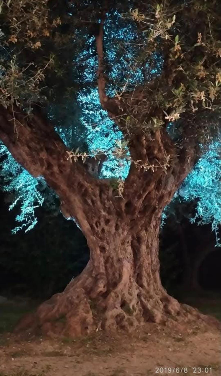 Night, Natural landscape