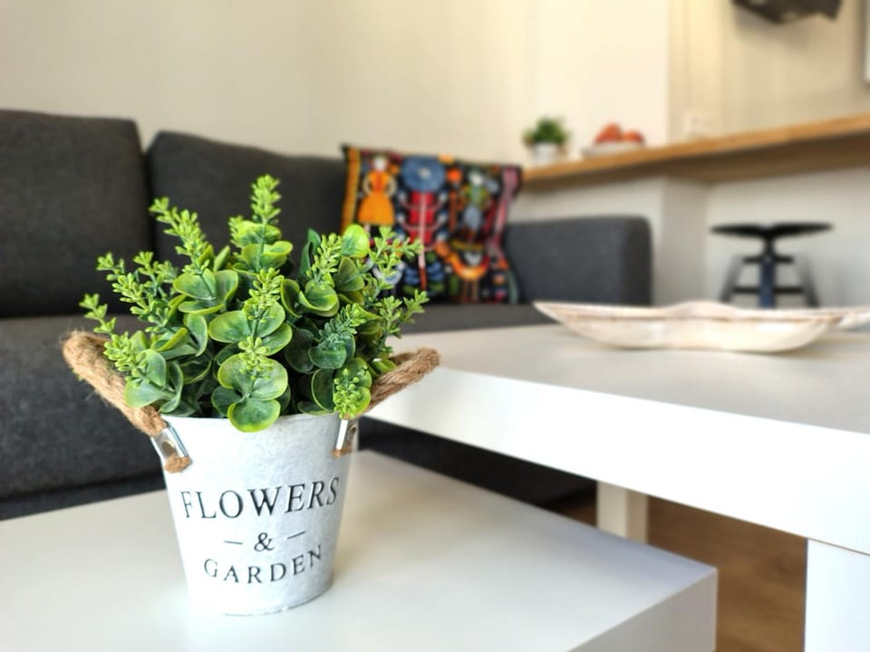 Alisios Encanto by Sea You There Fuerteventura Apartment in Corralejo