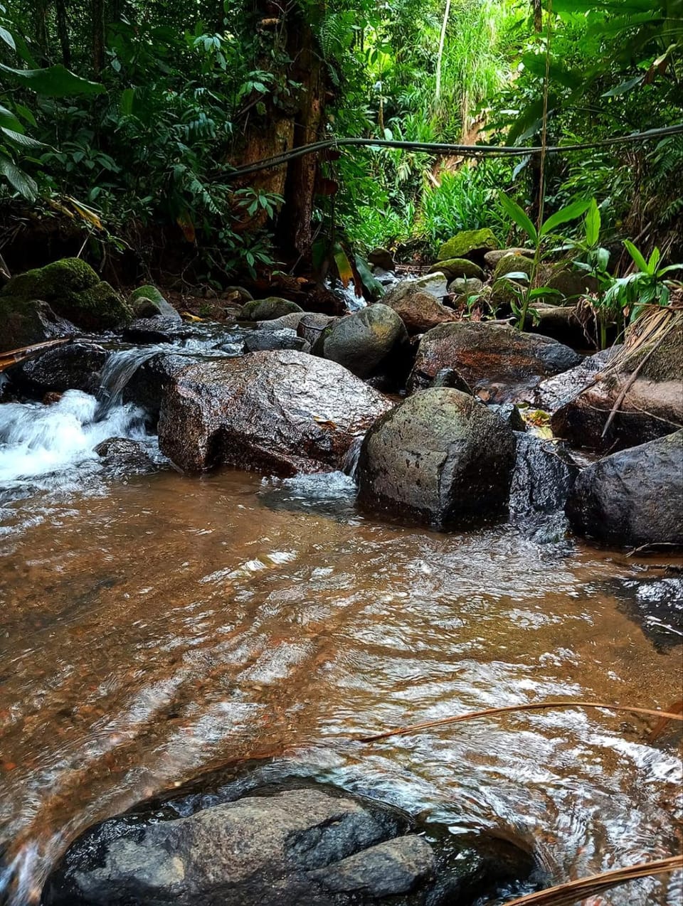 Natural landscape