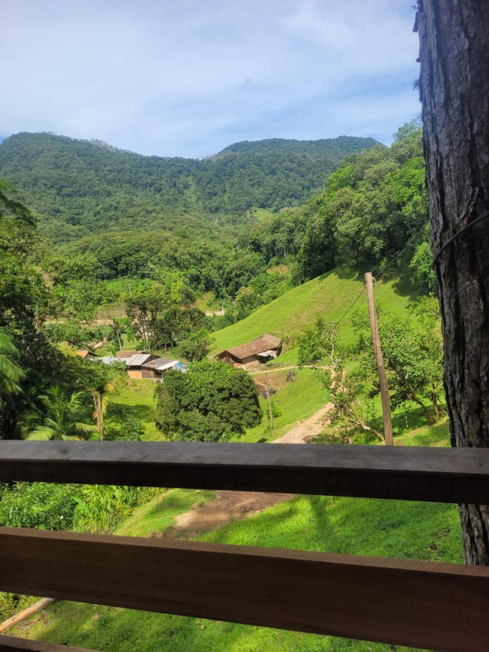 Natural landscape, Garden, Mountain view