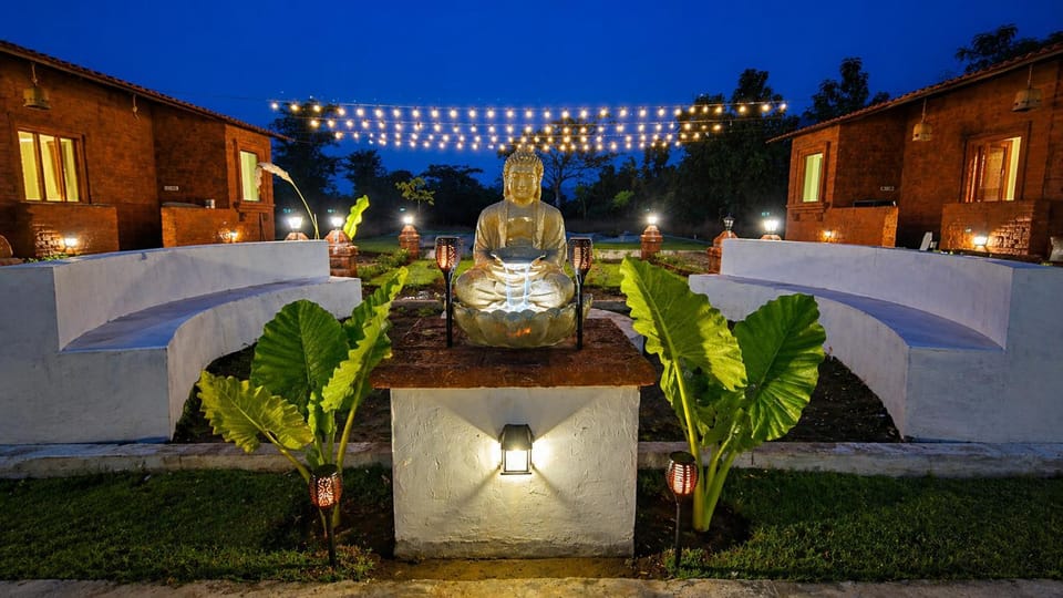 Night, Garden view