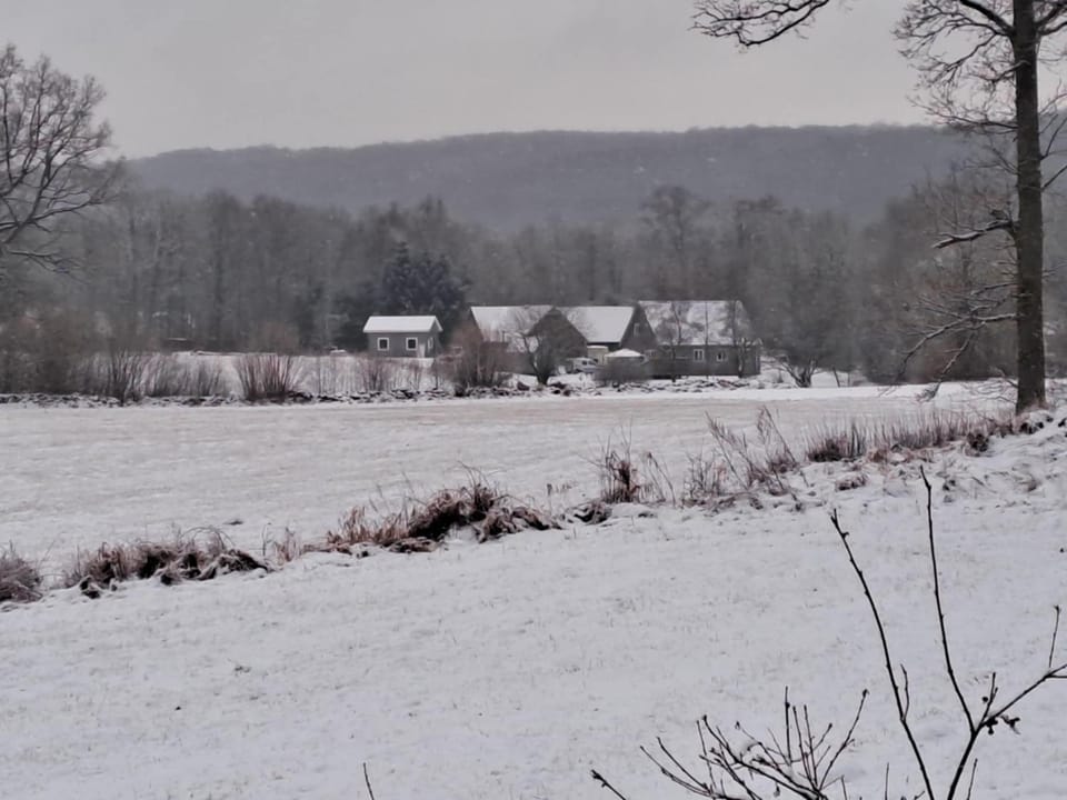 Gustavsbo Villa in Skåne County