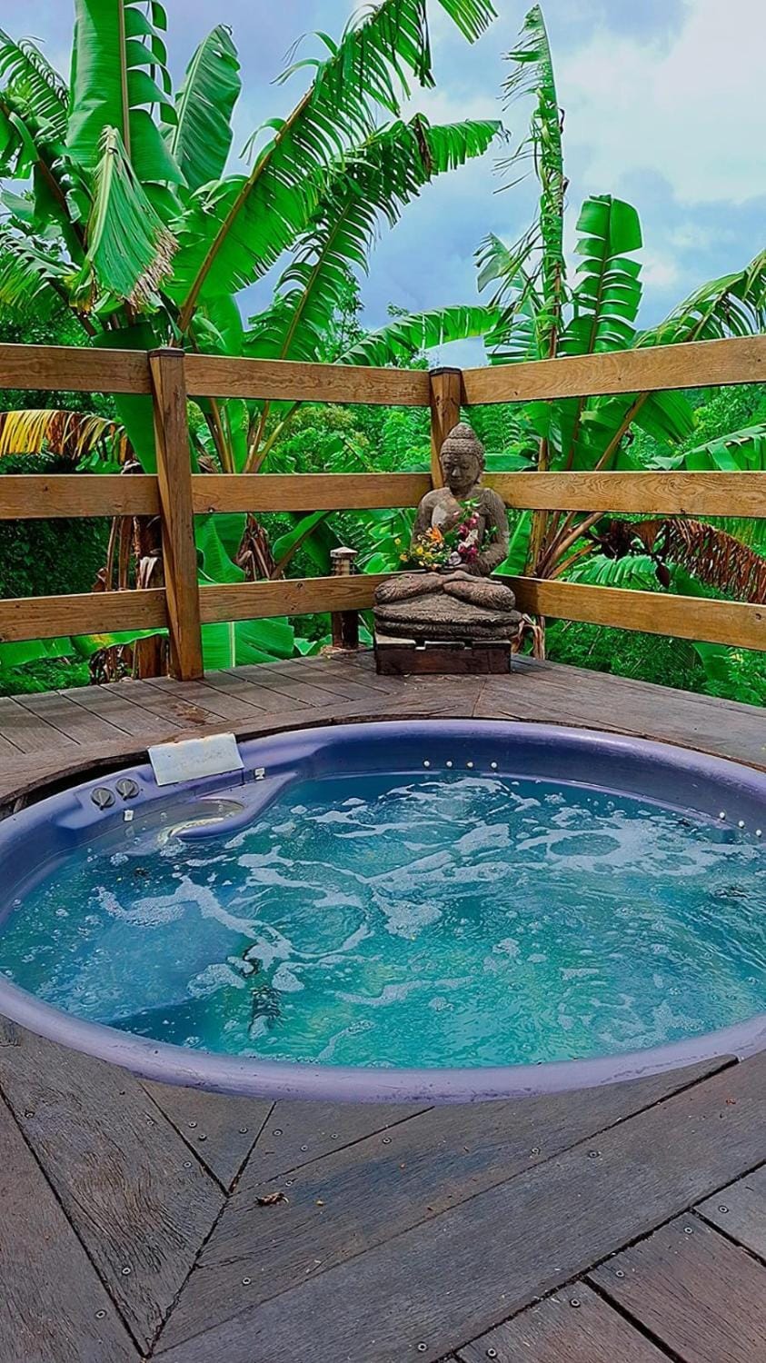 Nid d'amour Apartment in Martinique