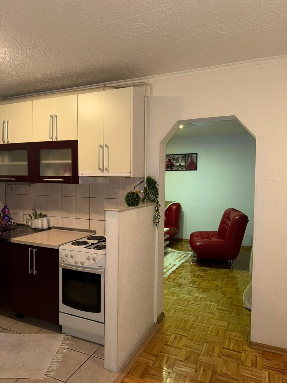 Apartman Palma Apartment in Sarajevo