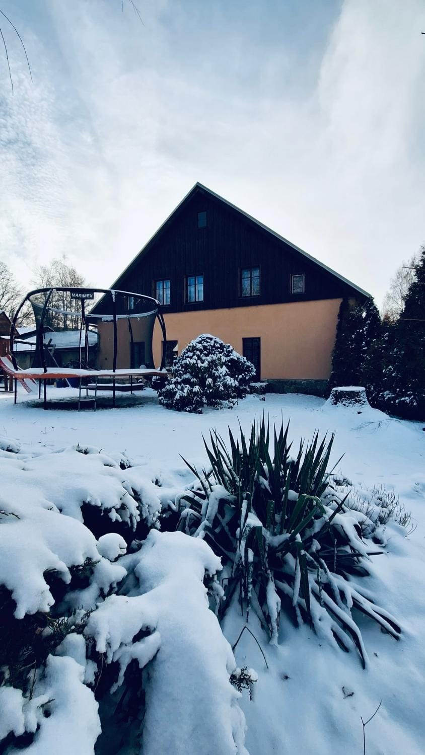 Winter, Garden, Garden view