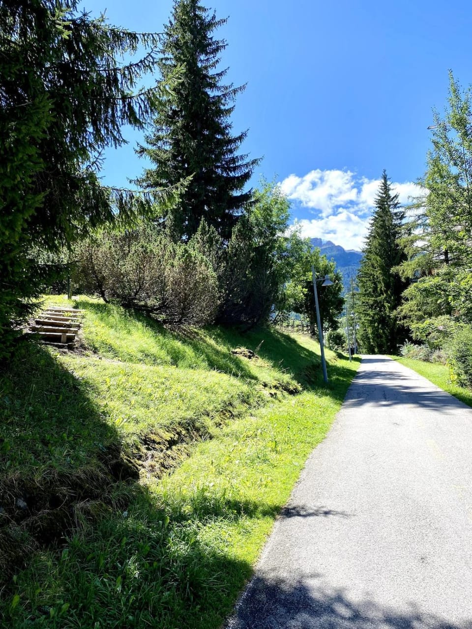 Spring, Day, Neighbourhood, Natural landscape