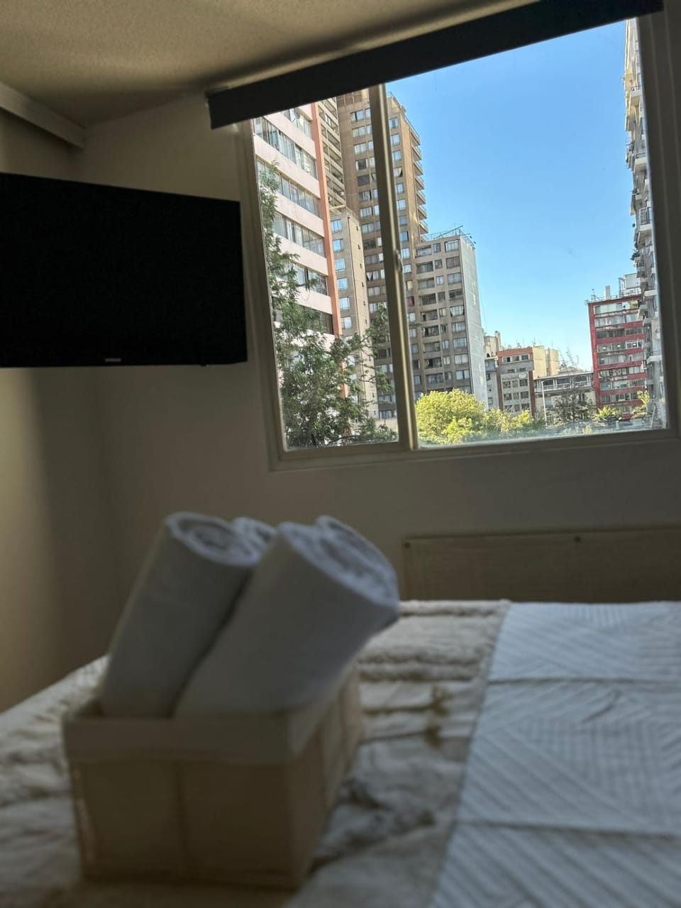 Cómodo departamento a pasos de plaza Italia Apartment in Providencia