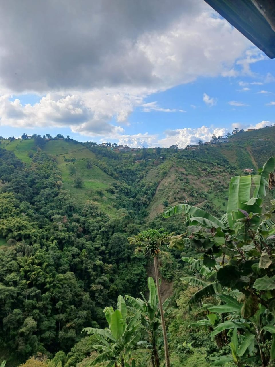 Marju Glamping Nature lodge in Manizales