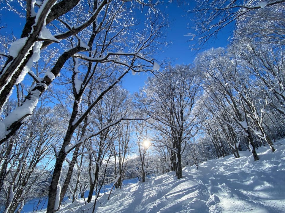 Natural landscape, Winter