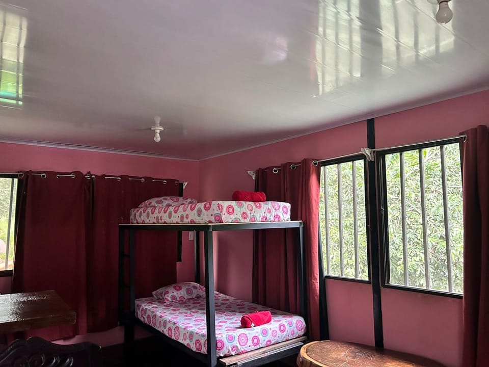 Bed