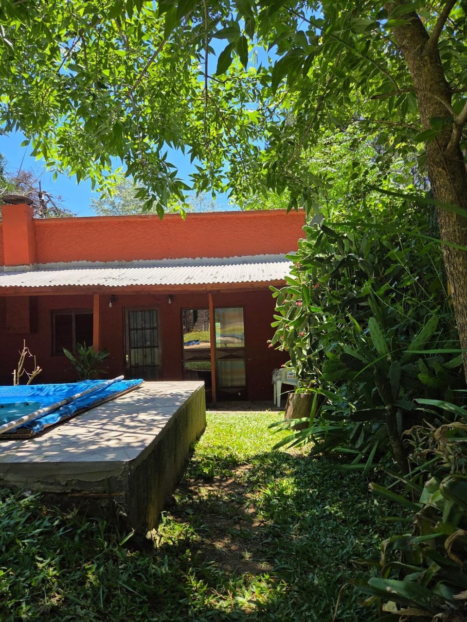 Spring, Garden view, Swimming pool
