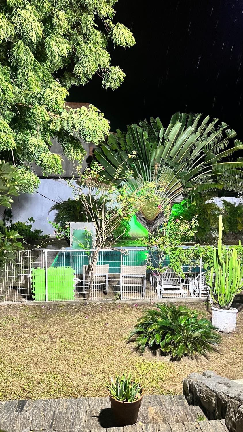 Garden view