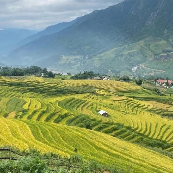 Chi Homestay Vacation rental in Vietnam