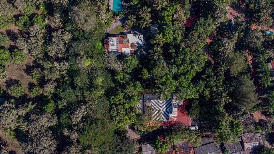 Property building, Spring, Day, Natural landscape, Bird's eye view, Garden