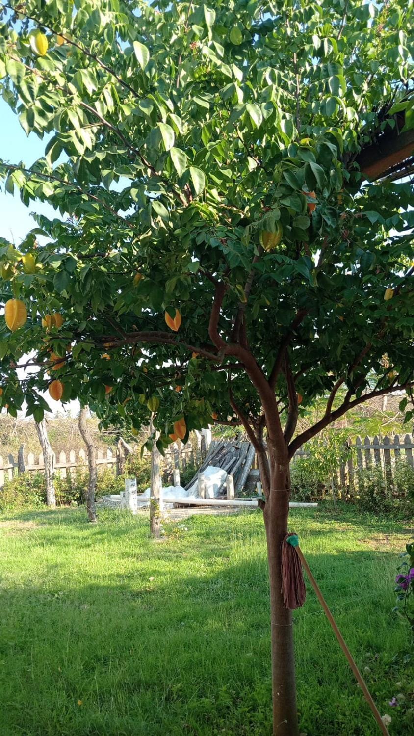 Sol y arena renta de recámaras vacacionales Bed and Breakfast in State of Michoacán