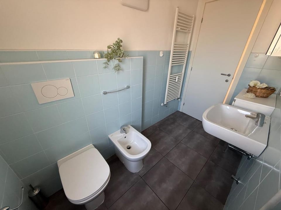 Toilet, Bathroom, bidet