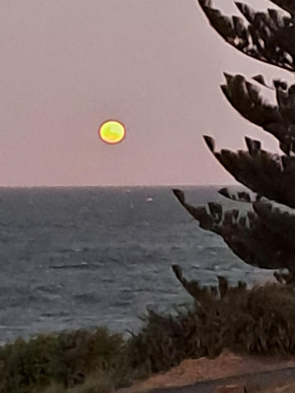 Sunrise