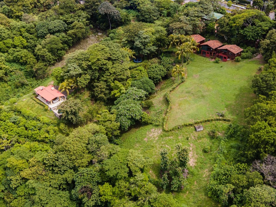 Natural landscape, Bird's eye view, Garden