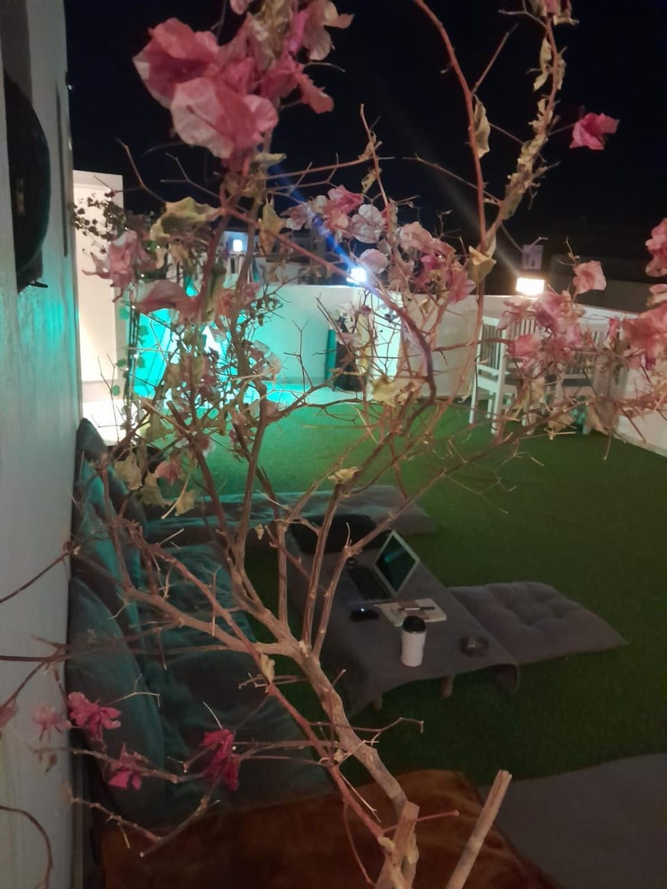 Patio, Garden view