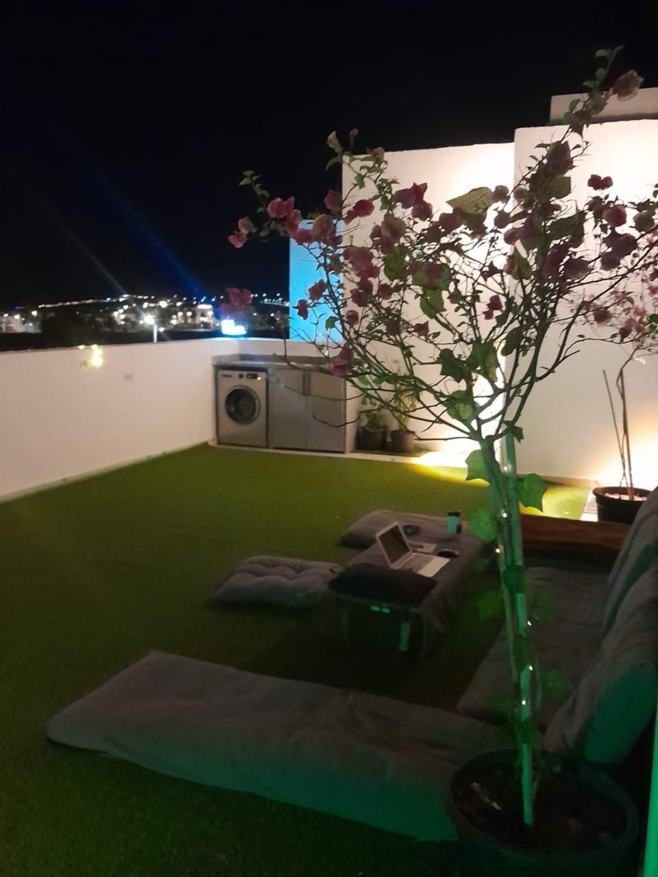 Garden, Seating area, Garden view