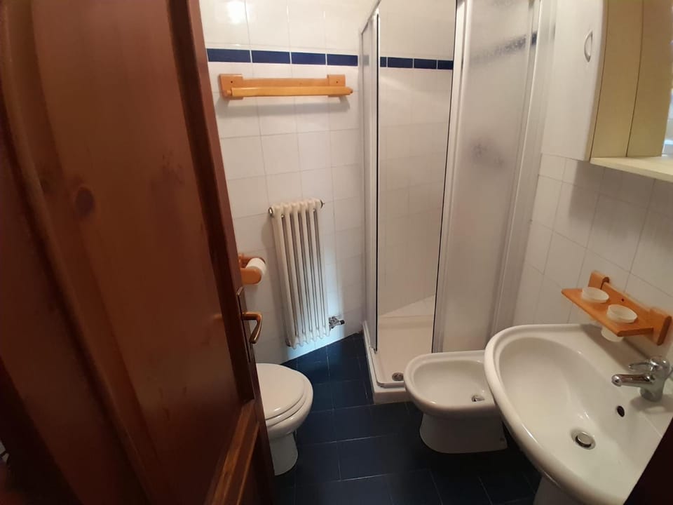 Shower, Toilet, Bathroom, bidet