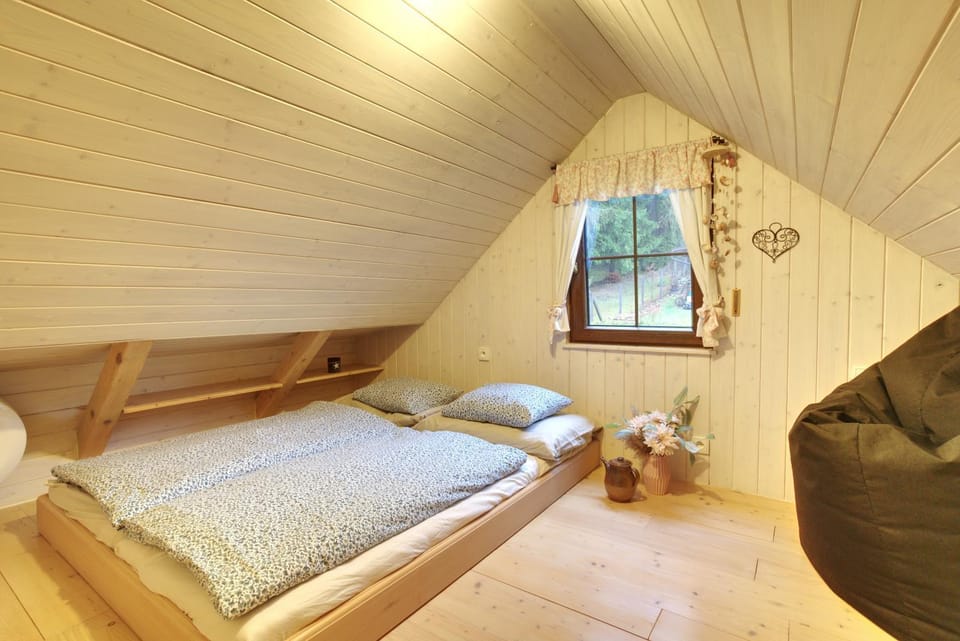 Cabin Near Krkonoše National Park Cabin in Czechia