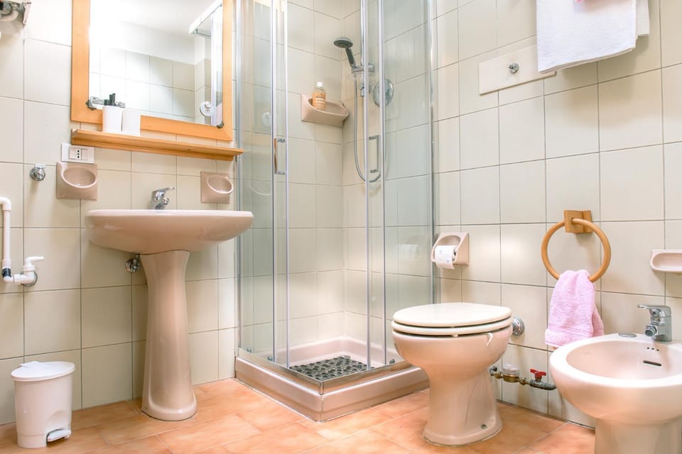 Shower, Toilet, Bathroom, bidet