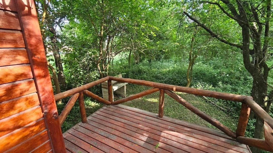 Cabaña Natural Del Bosque House in Victoria