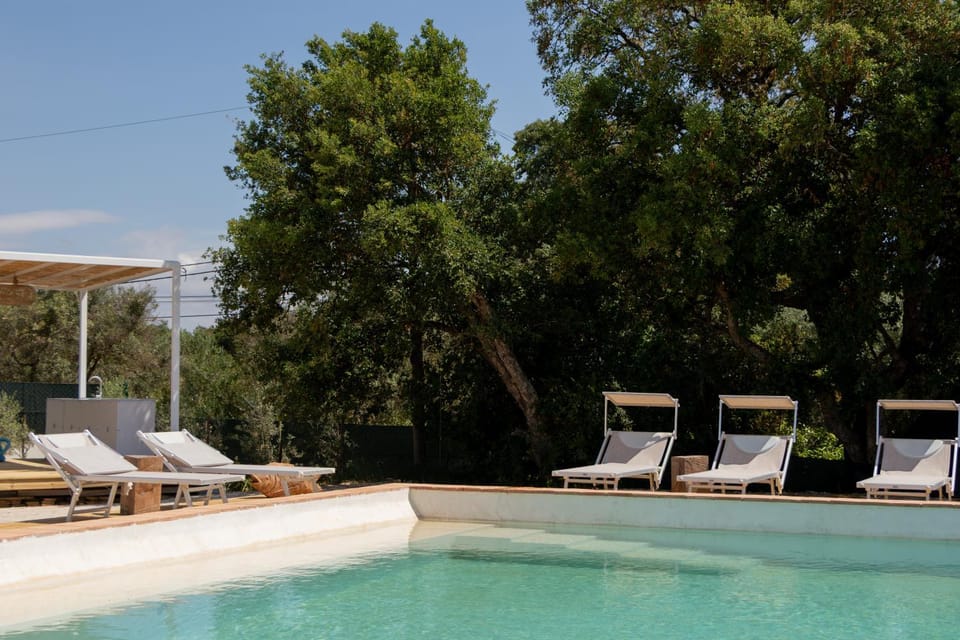 Natural landscape, Pool view, Swimming pool, sunbed