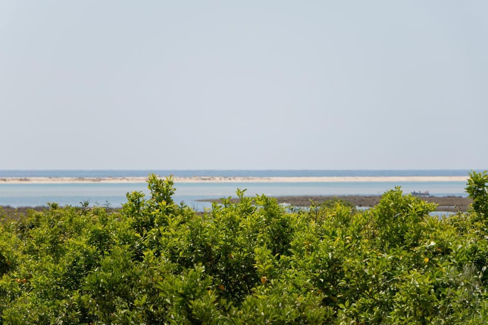 Day, Natural landscape, Sea view