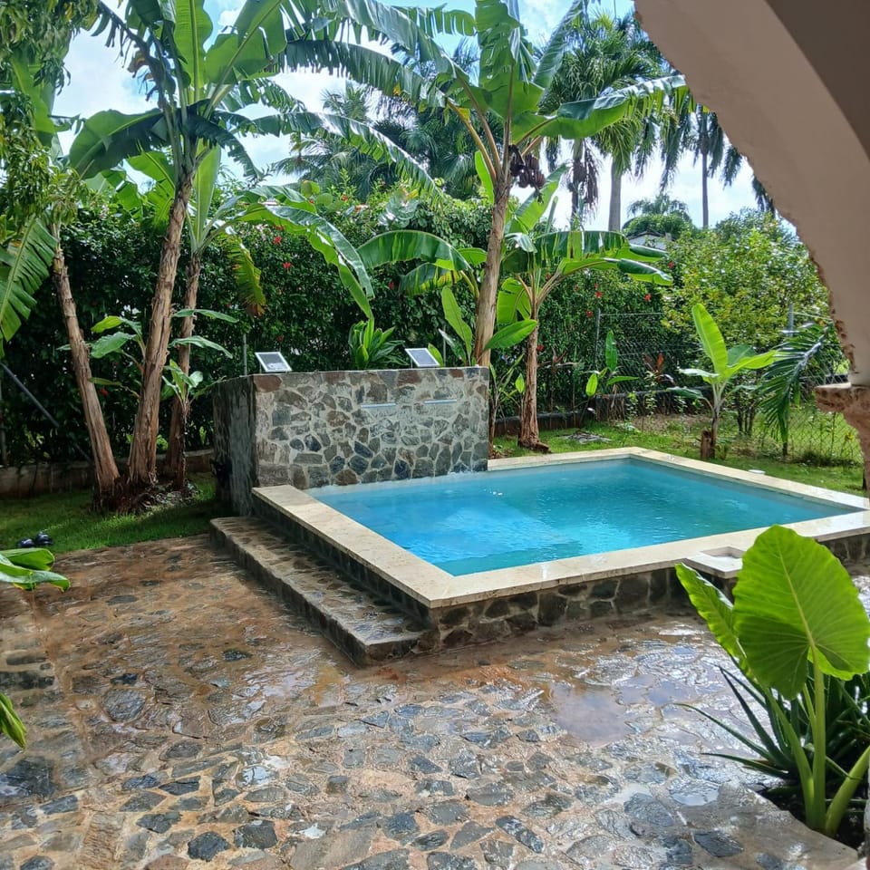 Garden, Swimming pool