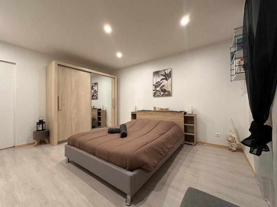 Petit cocon Apartment in Grand Est