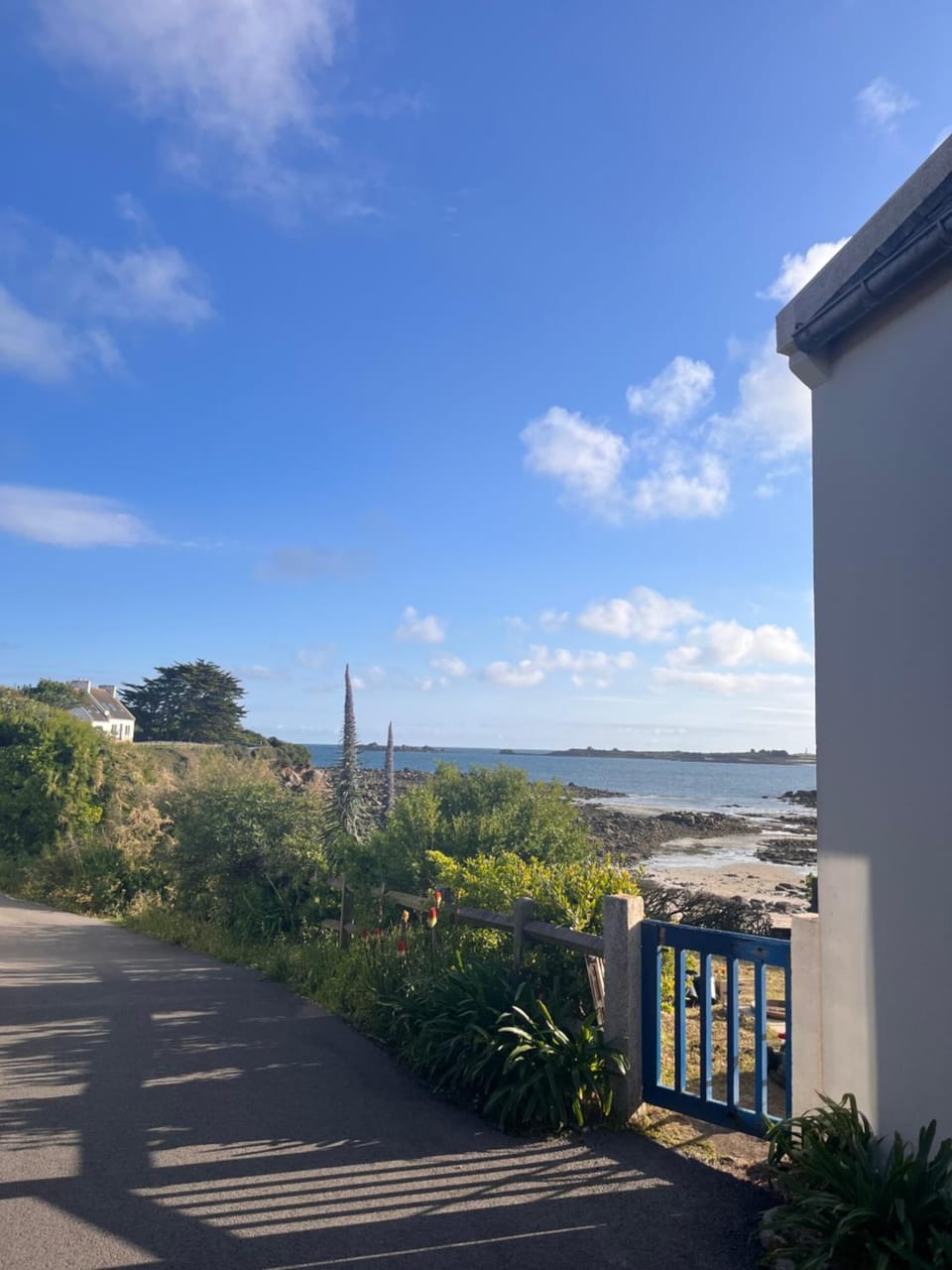 Natural landscape, Garden, Sea view
