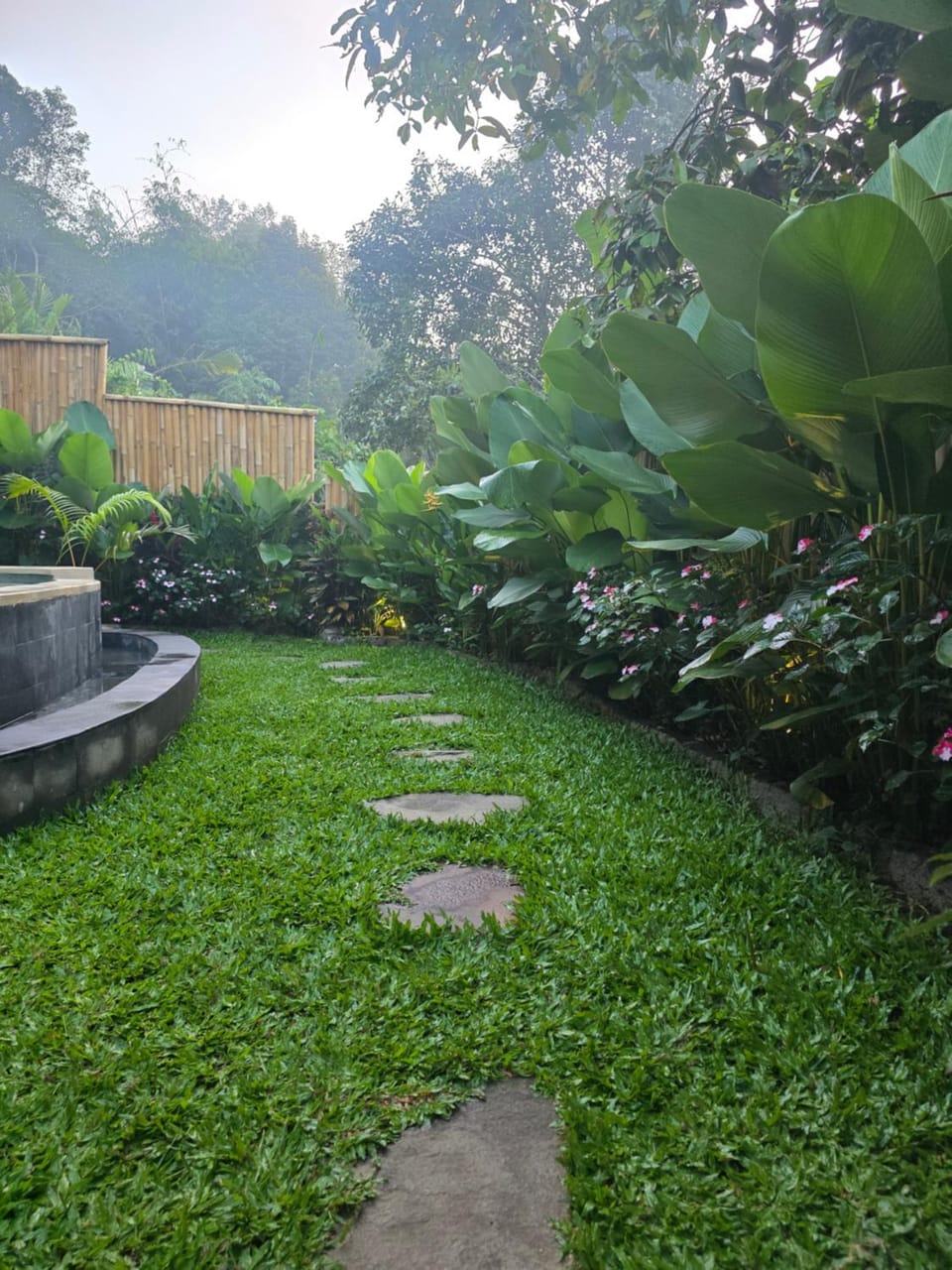 Day, Natural landscape, Garden view