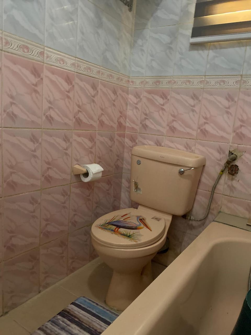 Flamingo 1 spacious solar powered 2 bedroom home with a stocked ready kitchen Apartment in Cameroon