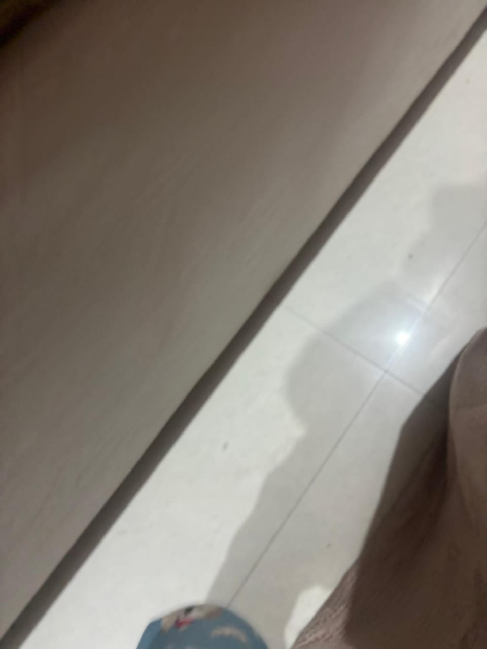 Chandigarh citi center Apartment in Punjab, India