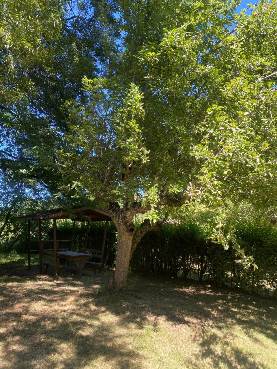 Camping fundo san pablo Campground/ 
RV Resort in Araucania, Chile