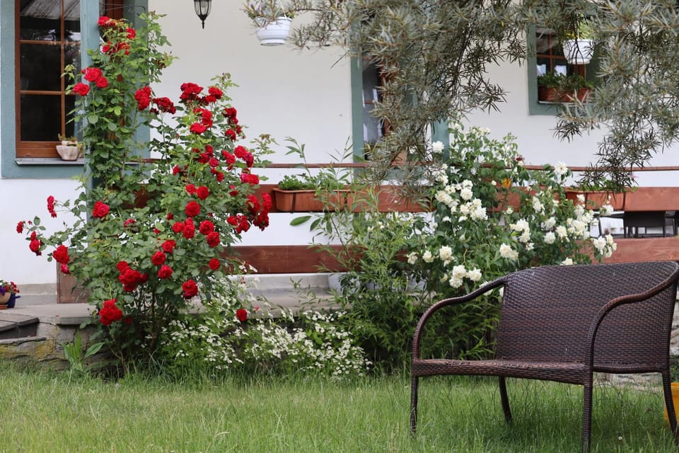 Summer, Garden, Seating area, Garden view