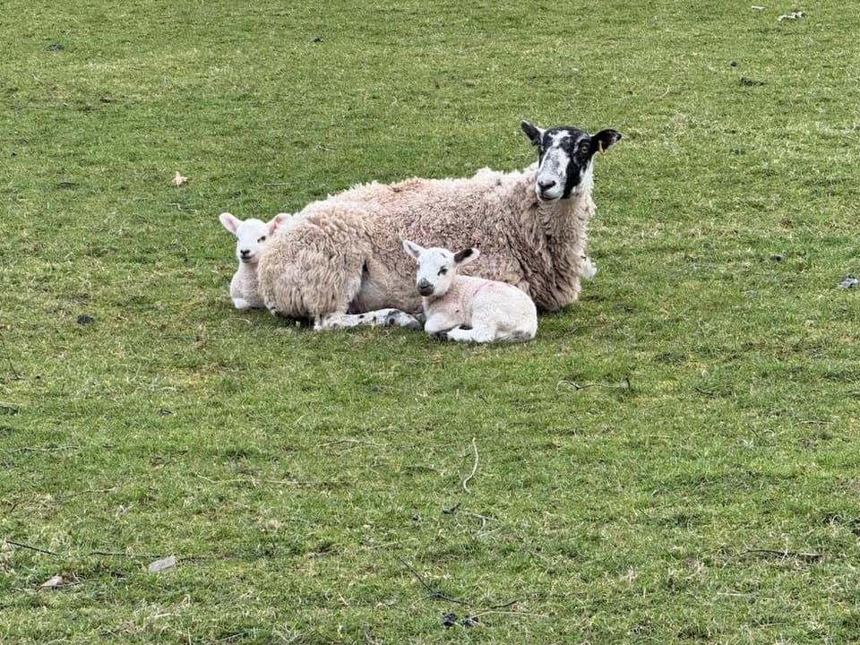 Dunmallet - Pooley Bridge House in Pooley Bridge