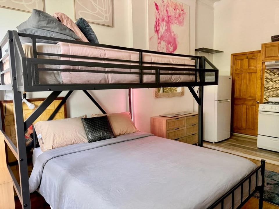 Unique Brooklyn Brownstone Studio Bedstuy Apartment in Bedford-Stuyvesant