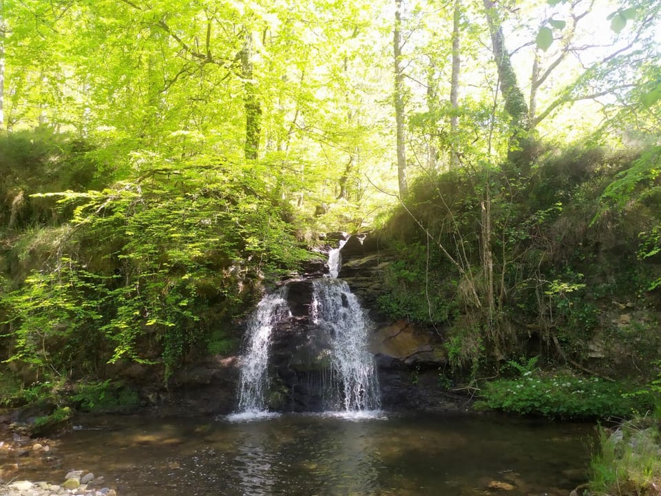 Natural landscape