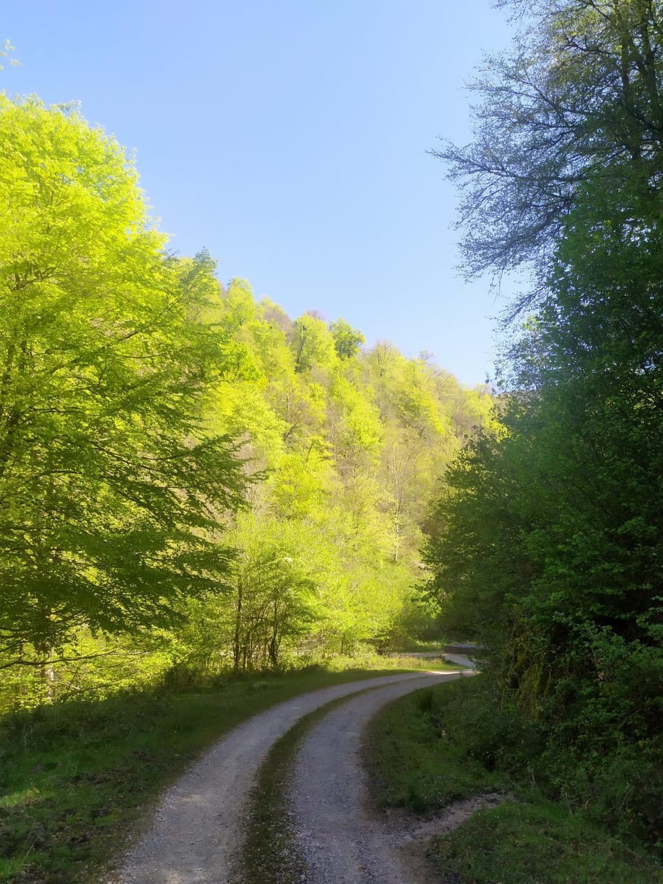 Spring, Natural landscape