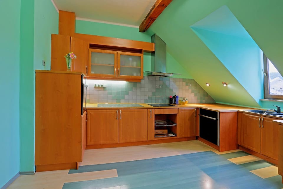 Kitchen or kitchenette, dishwasher, oven, stove