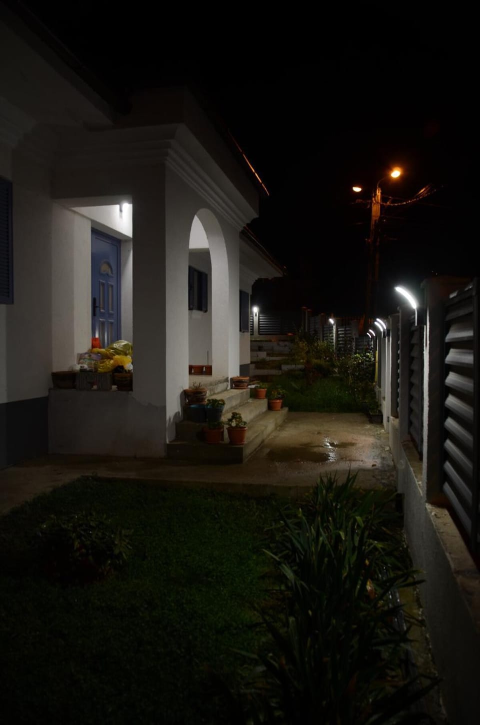 Property building, Night, Garden view
